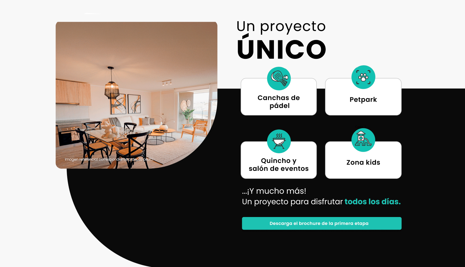 Proyecto único