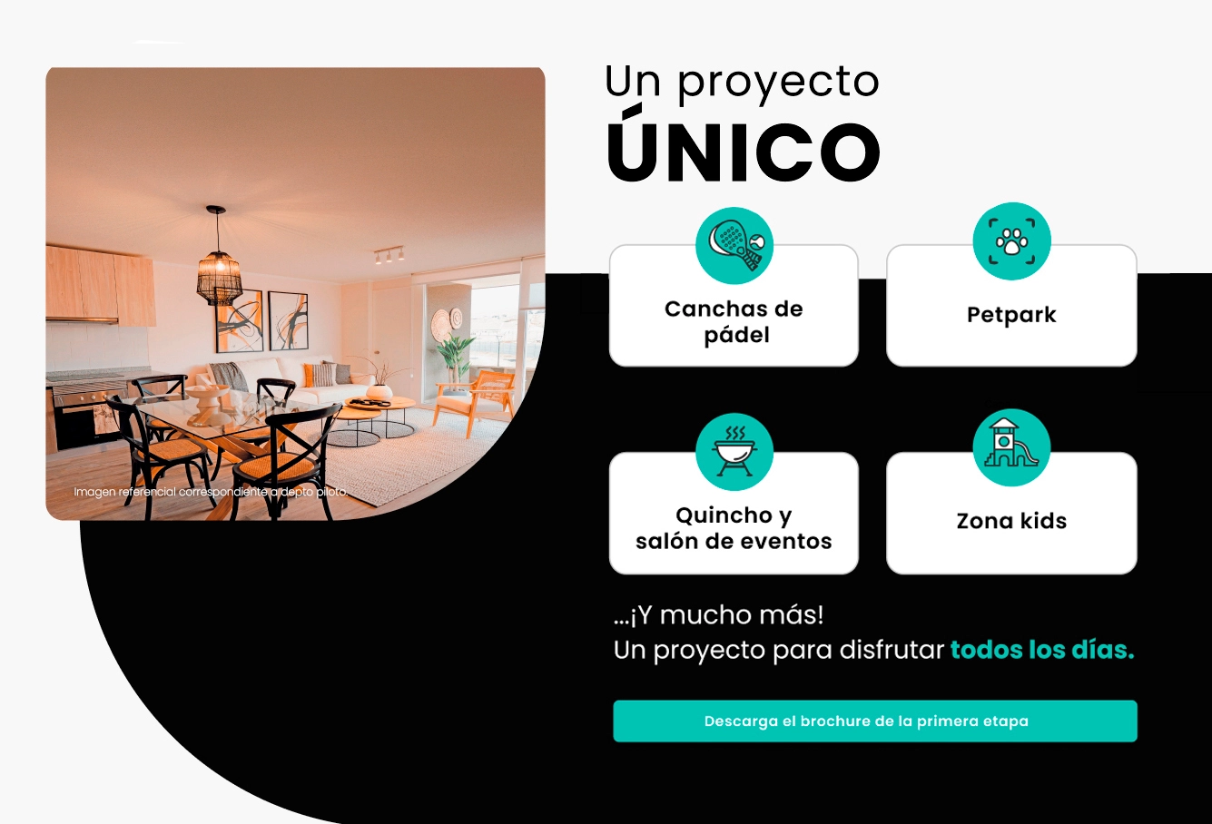 Proyecto único